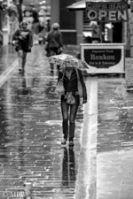 Queen Street Auckland city, black and white photo by Mike Wheelton